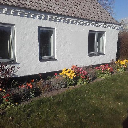 Bed and Breakfast Lindholt Fjerritslev Екстер'єр фото