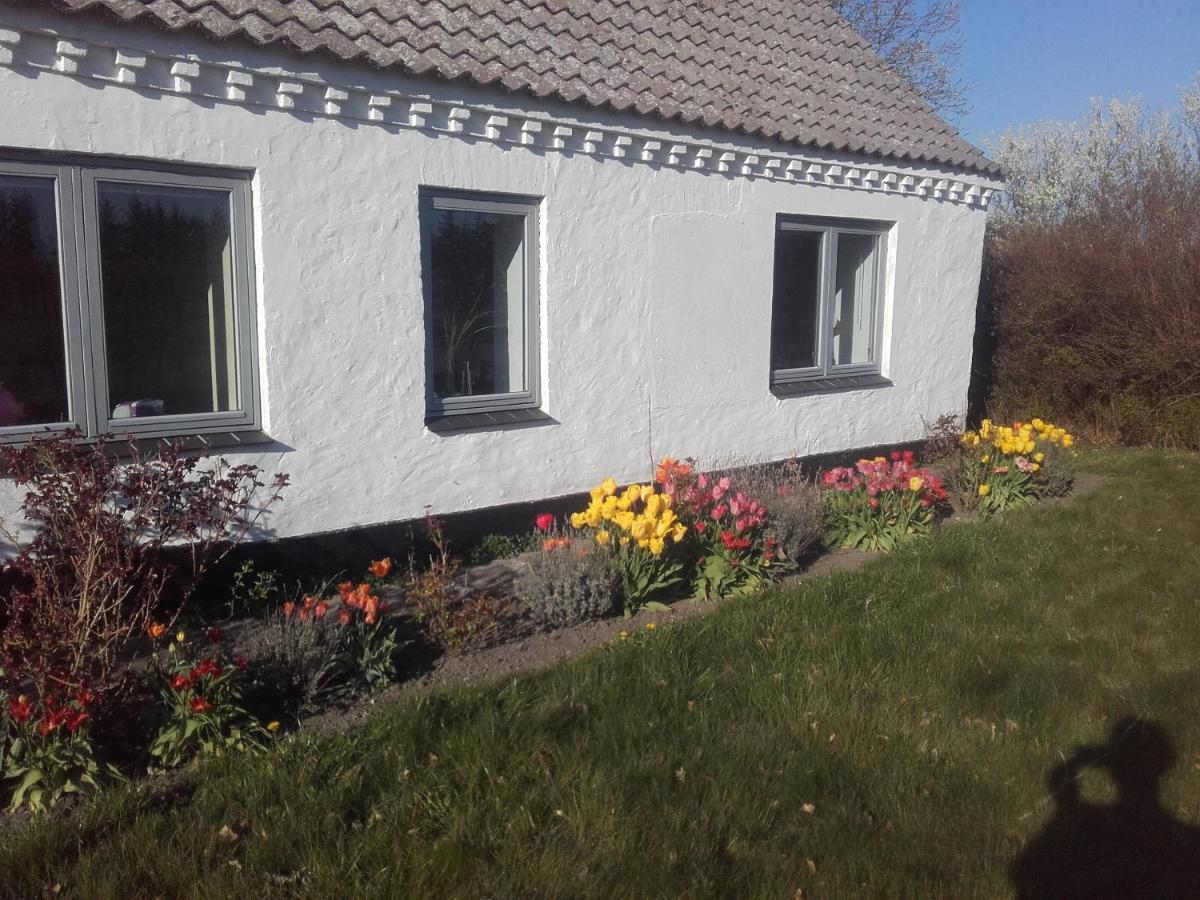 Bed and Breakfast Lindholt Fjerritslev Екстер'єр фото